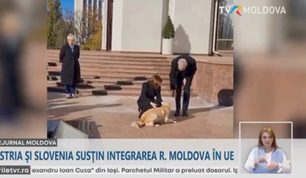 Prezidentin iti Avstriya liderinin əlini dişlədi - VİDEO