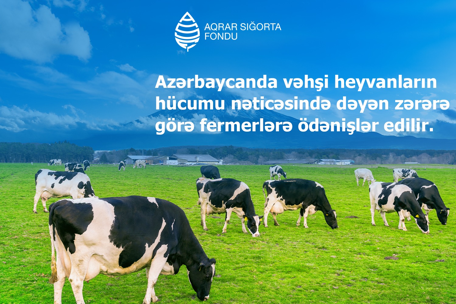 Vəhşi heyvanların hücumundan dəymiş zərərə görə fermerlərə ödənişlərə BAŞLANILIB