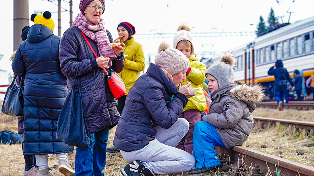 Ukraynalı qaçqınlar Kanadanı kütləvi tərk edirlər - SƏBƏB