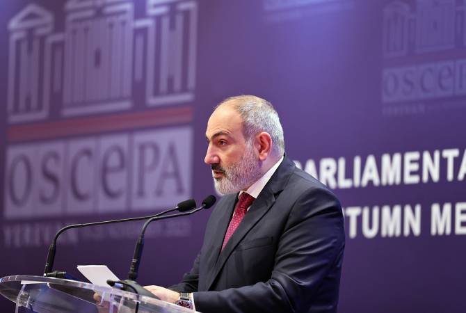 Bizim Türkiyə ilə diplomatik uğurumuz olmayıb - Paşinyan