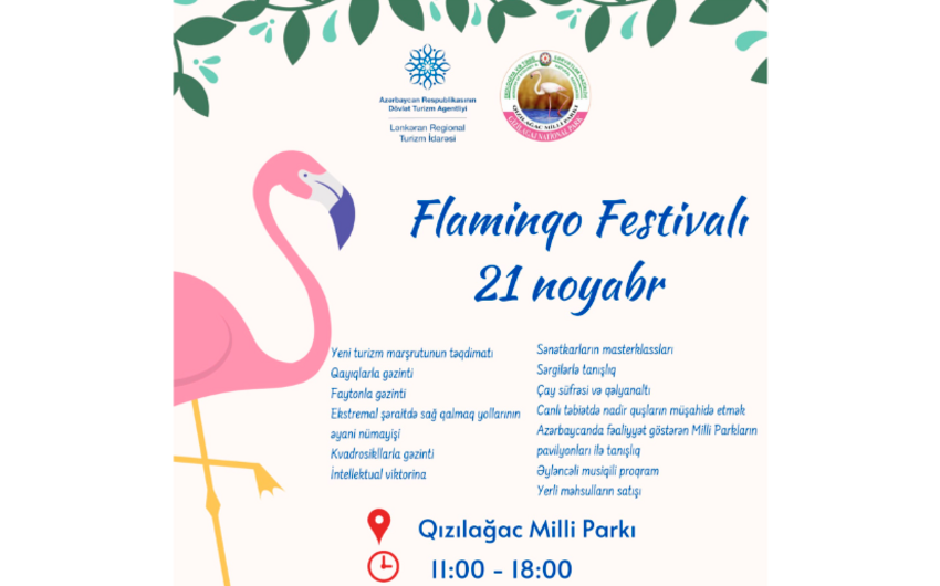 Qızılağac Milli Parkında “Flaminqo Festivalı” başlayıb