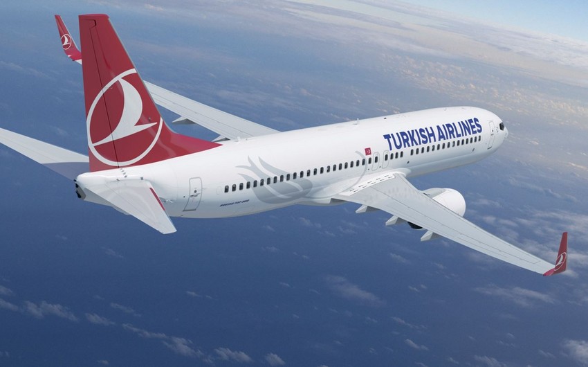 Türkiyə millisini aparan təyyarə Almaniyaya təcili eniş etdi