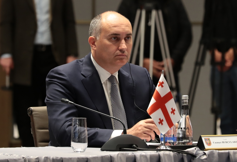 Müdafiə nazirlərinin növbəti görüşü Gürcüstanda keçiriləcək