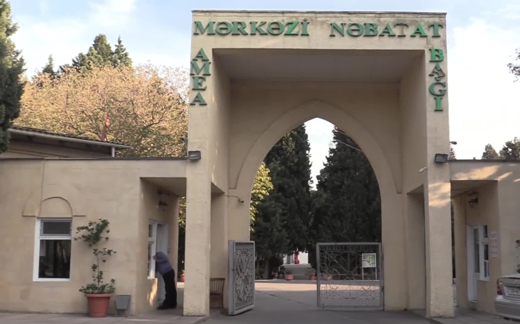 Mərkəzi Nəbatat Bağı bir ildir su pulu ödəmir - \