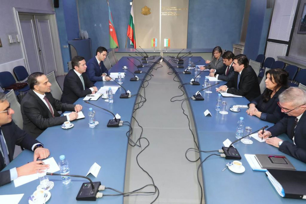 XİN-lər arasında siyasi məsləhətləşmələr - FOTO