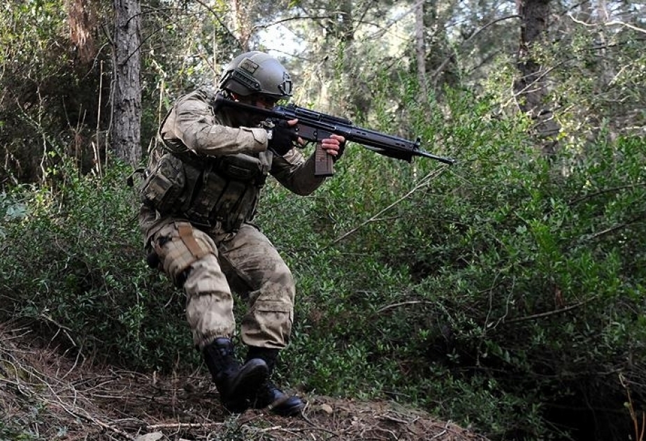 Türkiyədə 78 terror yuvası MƏHV EDİLDİ