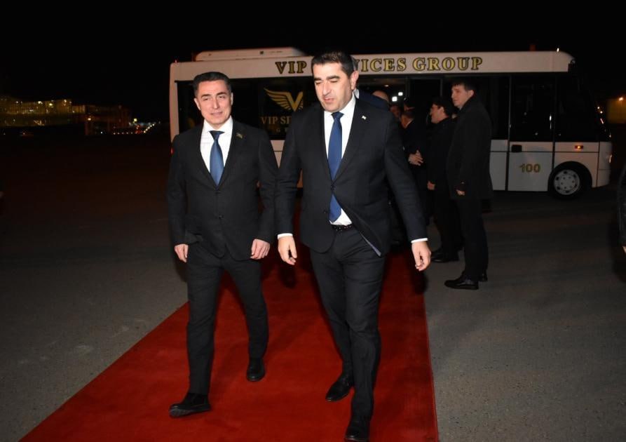 Şalva Papuaşvil Azərbaycana gəldi