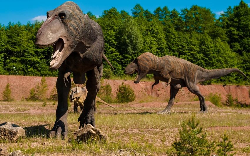 Alimlər dinozavrların kütləvi ölüm səbəbini AÇIQLADILAR