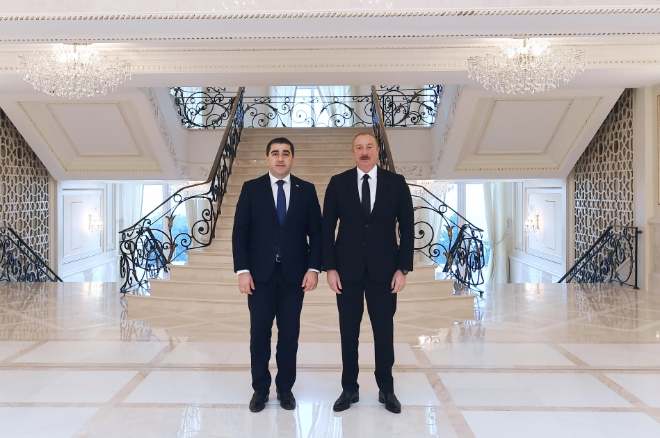 Prezident Gürcüstan spikerini qəbul edib