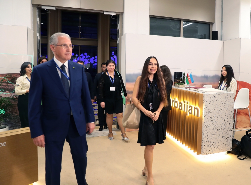 Dubayda COP-29 tədbiri - Leyla Əliyeva da iştirak etdi