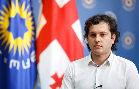 Gürcüstanda LGBT təbliğatı qəbuledilməzdir - Hakim partiya