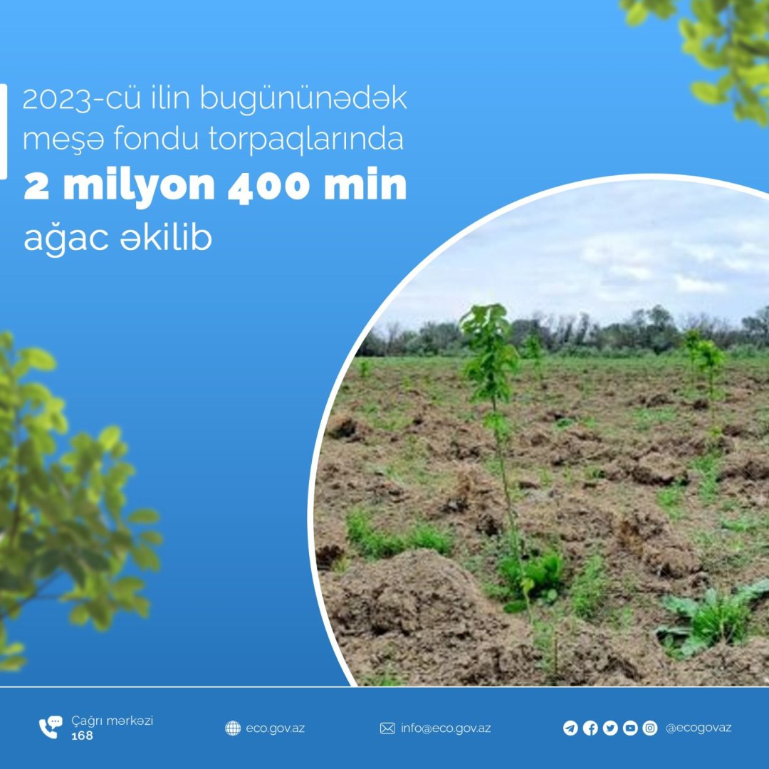 Bu il  2 milyon 400 min ağac əkilib