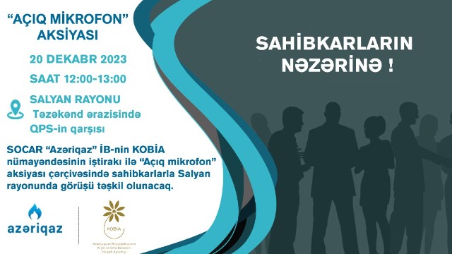 Sahibkarlarla növbəti görüş Salyanda keçiriləcək