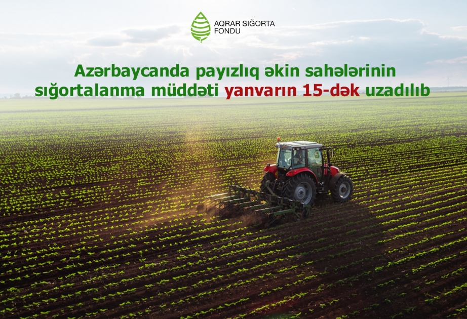 Payızlıq əkinlərin sığortalanma müddəti yanvarın 15-dək uzadıldı