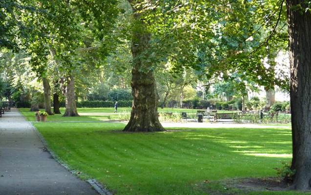 Ağdamda 5 hektarlıq mərkəzi park salınacaq