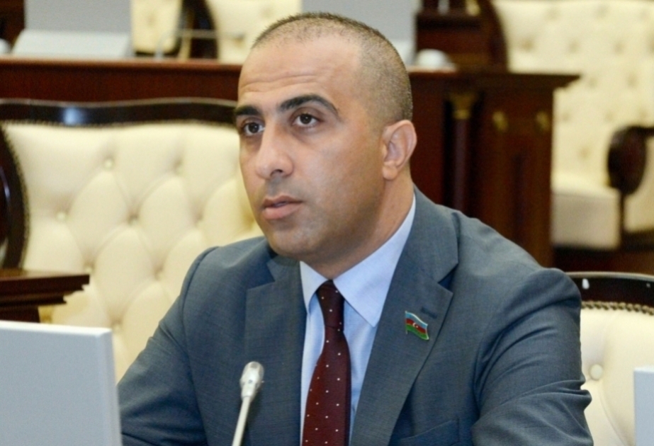 Ucuz tənqid, yaxud sosial mediada xoruzlanmaq göstərici ola bilməz - Deputat