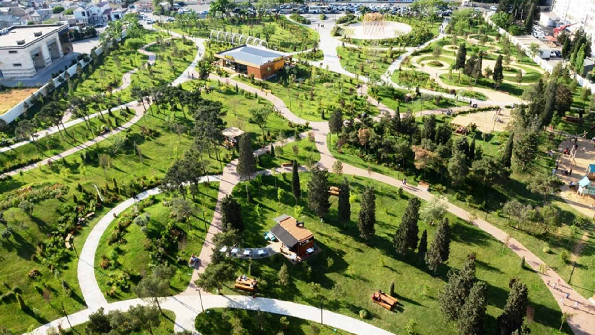 Bakıda adambaşına düşən yaşıllıq 8 m2-ə çatdırılacaq - Baş Plan