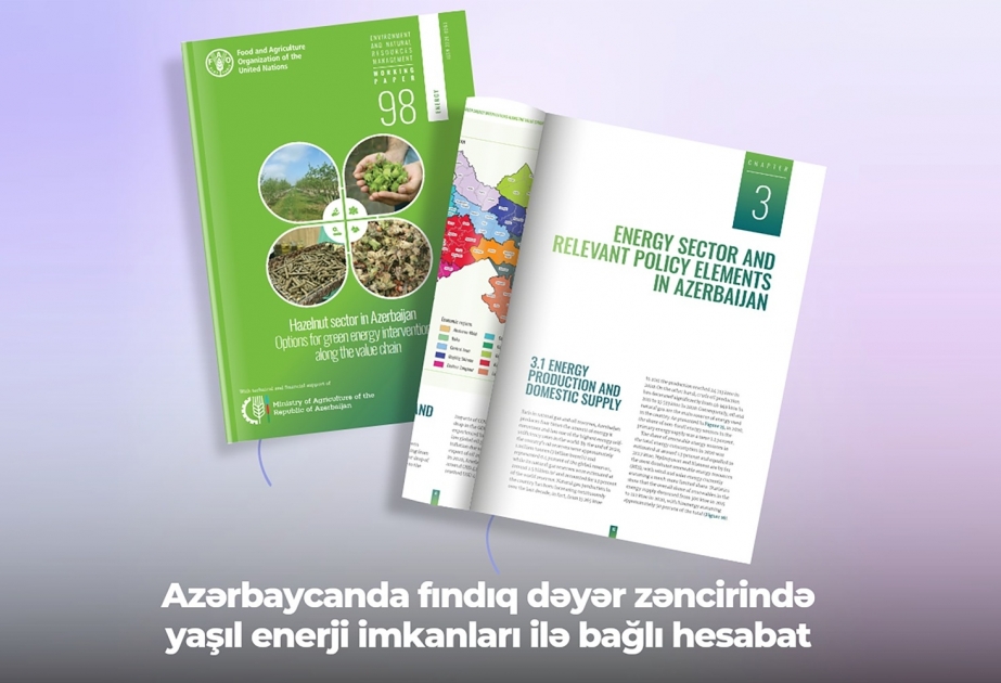 Fındıq dəyər zəncirində yaşıl enerji imkanları ilə bağlı hesabat dərc edilib
