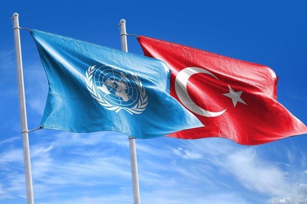 Yeni taxıl sazişi ola bilər? - BMT-Türkiyə hazırlıqları