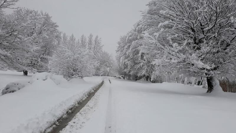 12 dərəcə şaxta olub - FAKTİKİ HAVA