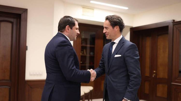 Papikyan NATO baş katibinin xüsusi nümayəndəsi ilə Qafqazı müzakirə etdi