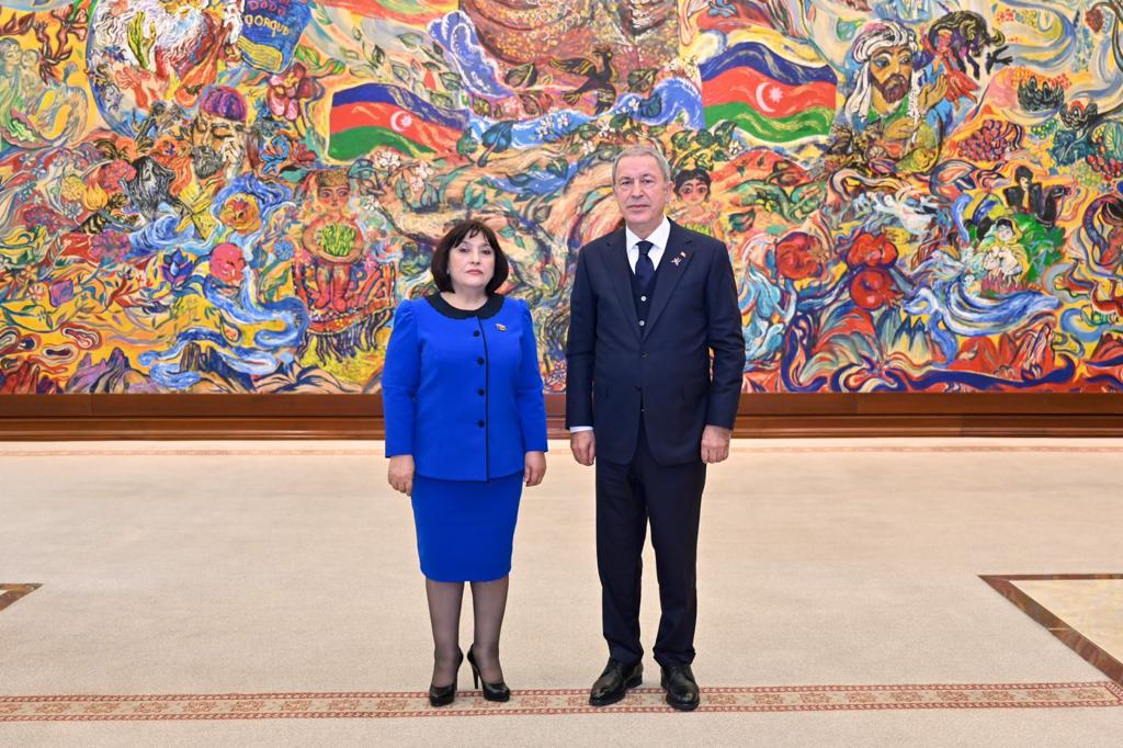 Sahibə Qafarova Hulusi Akarla nələri müzakirə etdi... - FOTO
