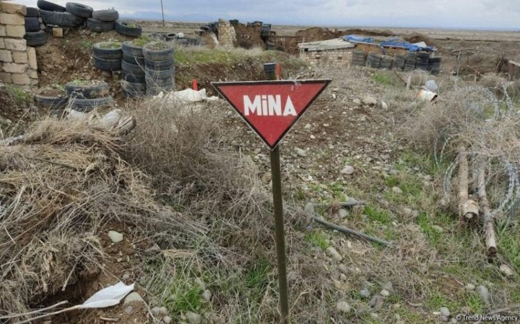 DİN və ANAMA mina təhlükəsi ilə bağlı müraciət etdi - VİDEO