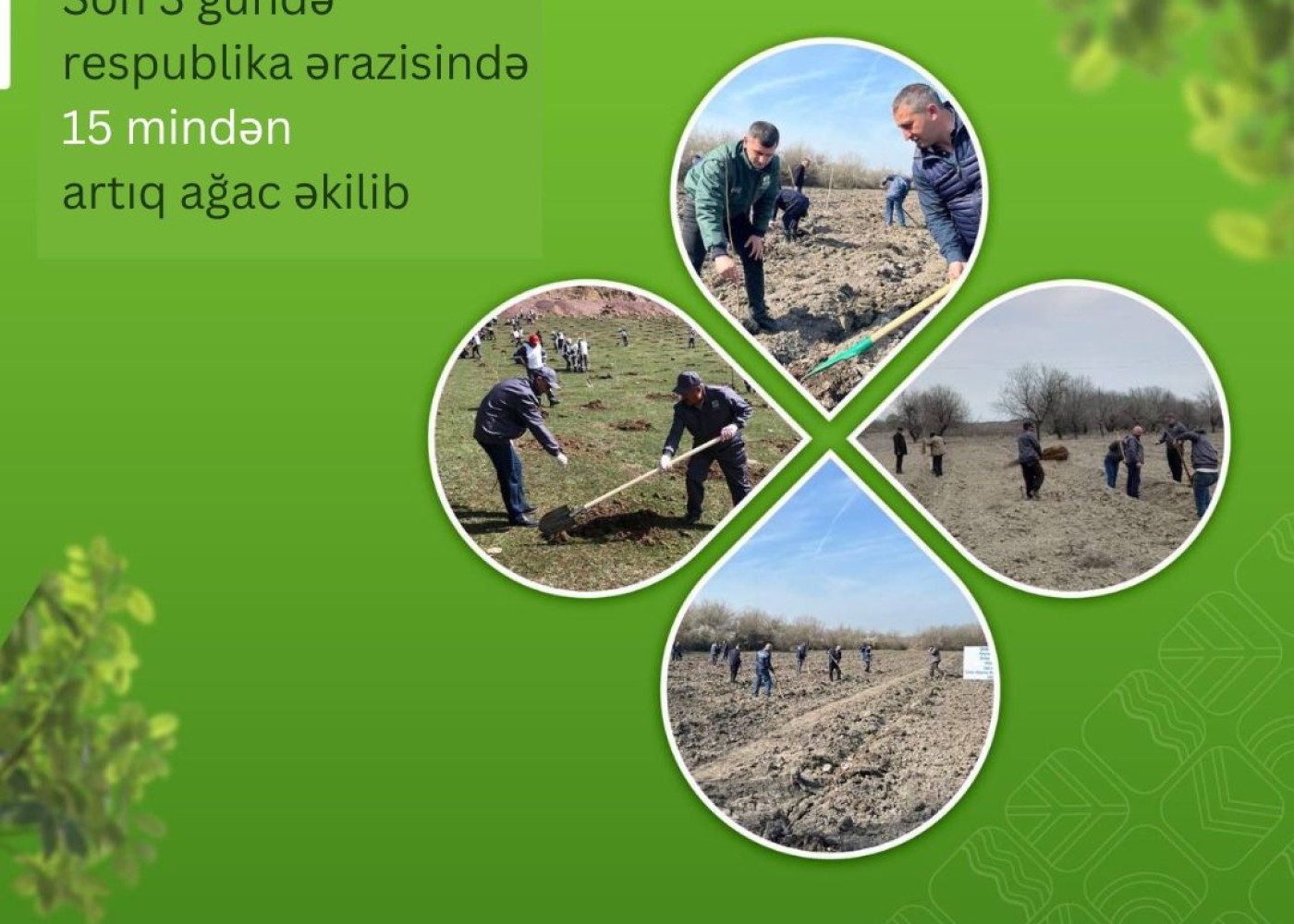 Respublika ərazisində 3 gündə 15 mindən çox ağac əkilib