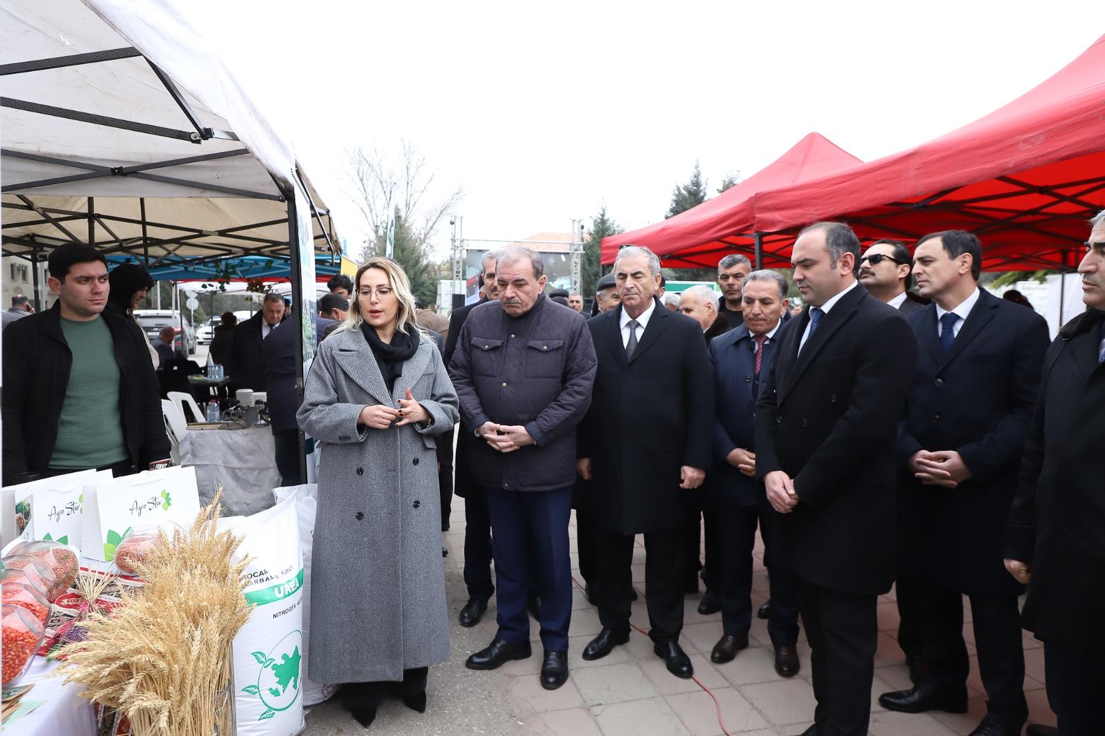 Salyanda Aqrar Biznes Festivalı - FOTO