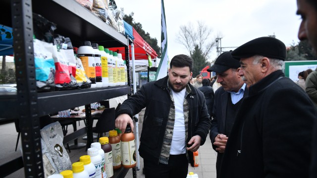 Salyanda Aqrar Biznes Festivalı keçirilib - FOTOLAR