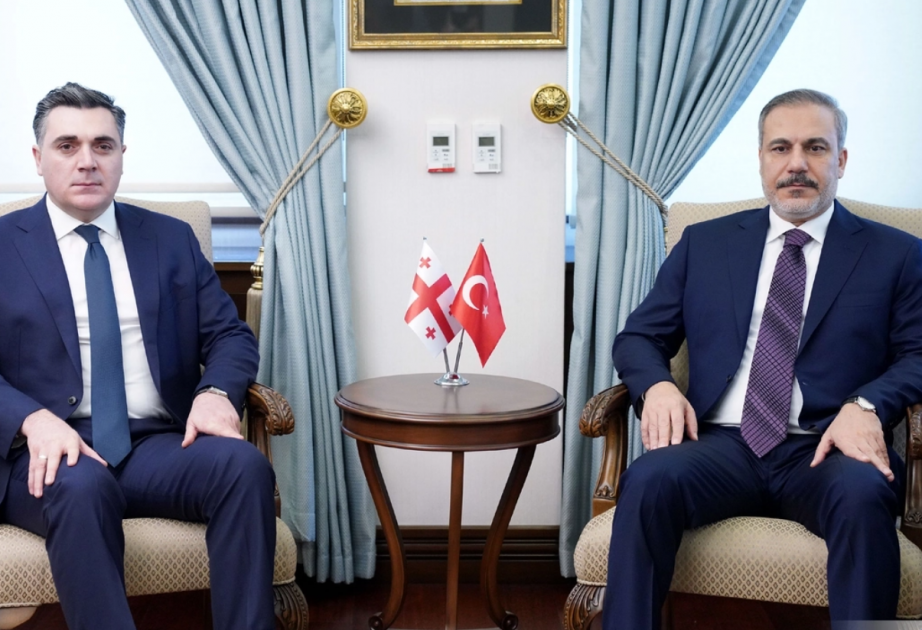 Darçiaşvili Fidanla Qafqazı müzakirə etdi 