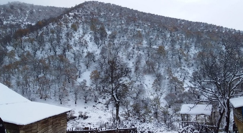 Rayonlara qar yağıb, 11 dərəcə şaxta var - Faktiki hava
