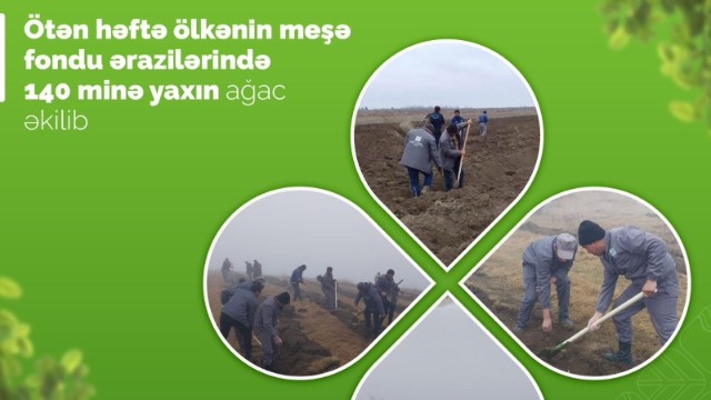 Ötən həftə 140 min ağac əkilib