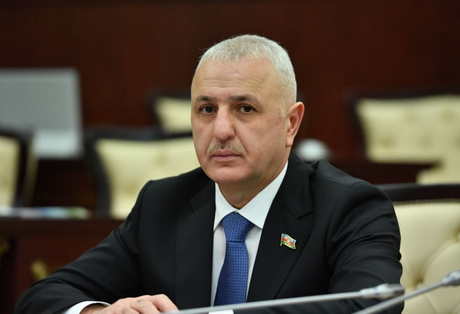 Azərbaycan Münxendə siyasi cəhətdən şəffaf, məntiqi baxımdan ardıcıl mövqe sərgilədi