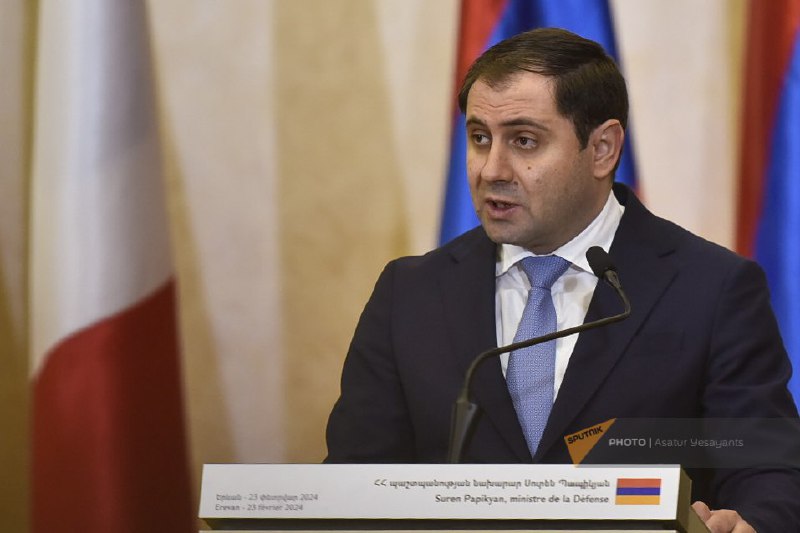 Ermənistan silahları dost və müttəfiqləri üçün almır - Papikyan