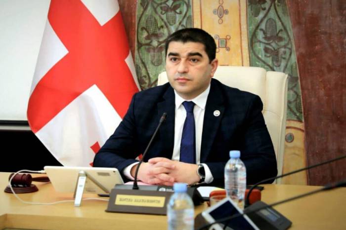 Müxalifət milli ləyaqətini itirib - Gürcüstan spikeri