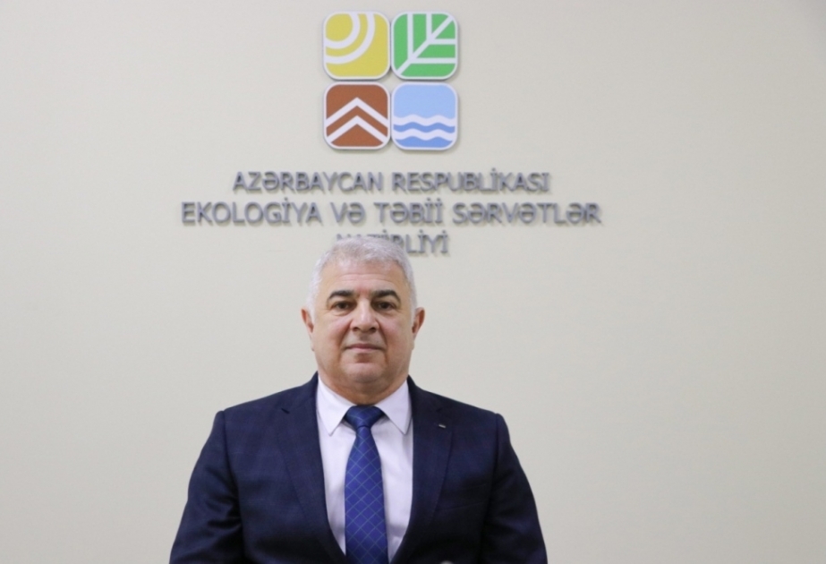 COP29-un nəticələri ölkəmiz üçün müsbət olacaq - Nazir müavini