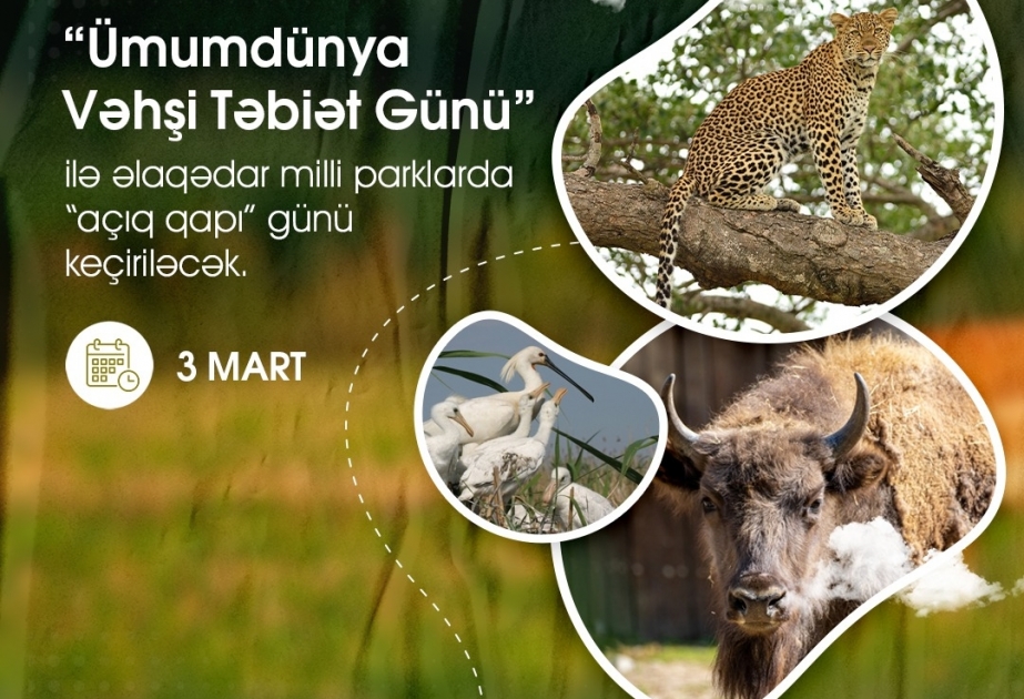 3 mart “Ümumdünya Vəhşi Təbiət Günü”dür