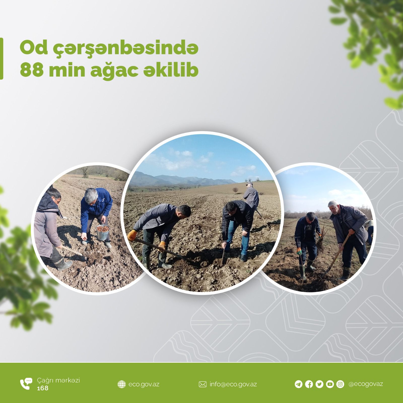 Od çərşənbəsində 88 min ağac əkilib