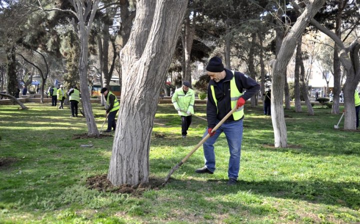 Bakıda Novruz iməciliyi KEÇİRİLƏCƏK 