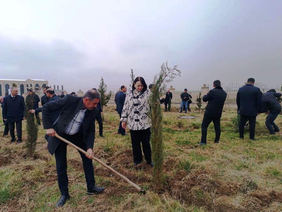 Goranboyda ağacəkmə aksiyası - FOTOLAR