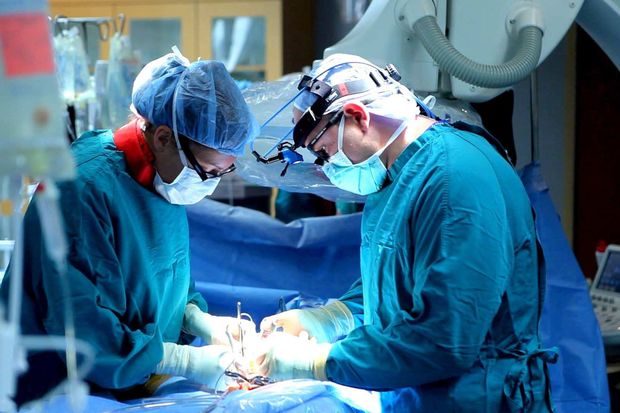 62 yaşlı kişiyə donuz böyrəyi köçürüldü