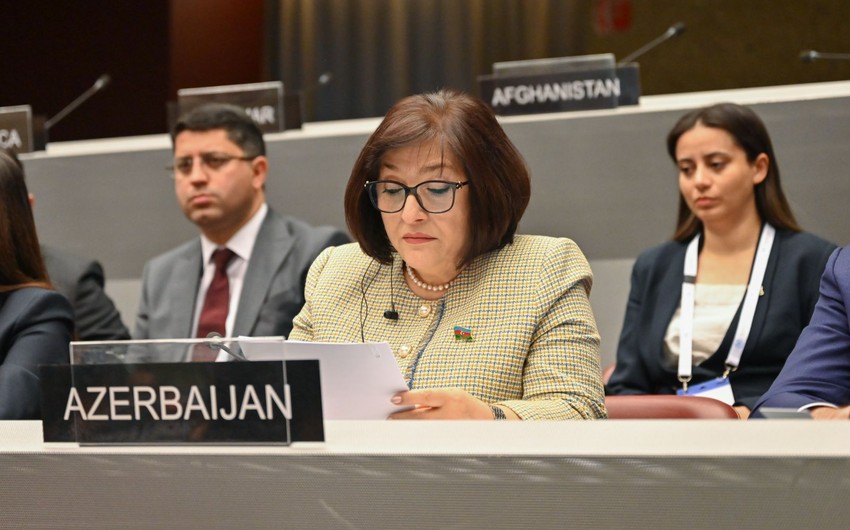 Sahibə Qafarova Azərbaycanın COP-29-a ev sahibliyindən DANIŞDI