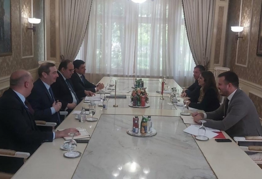 Azərbaycan və Monteneqro arasında məsləhətləşmələr