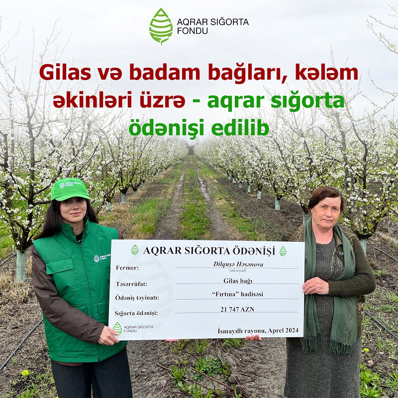 Fermerlərə aqrar sığorta ödənişi edildi - FOTO