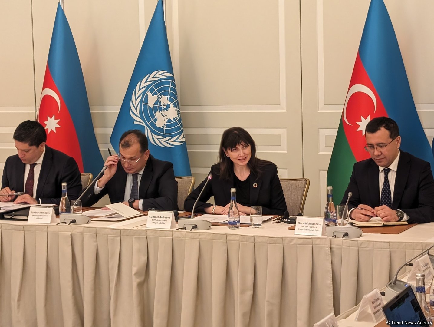 COP29-un uğurla keçirilməsi üçün Azərbaycanla birgə iş aparılır