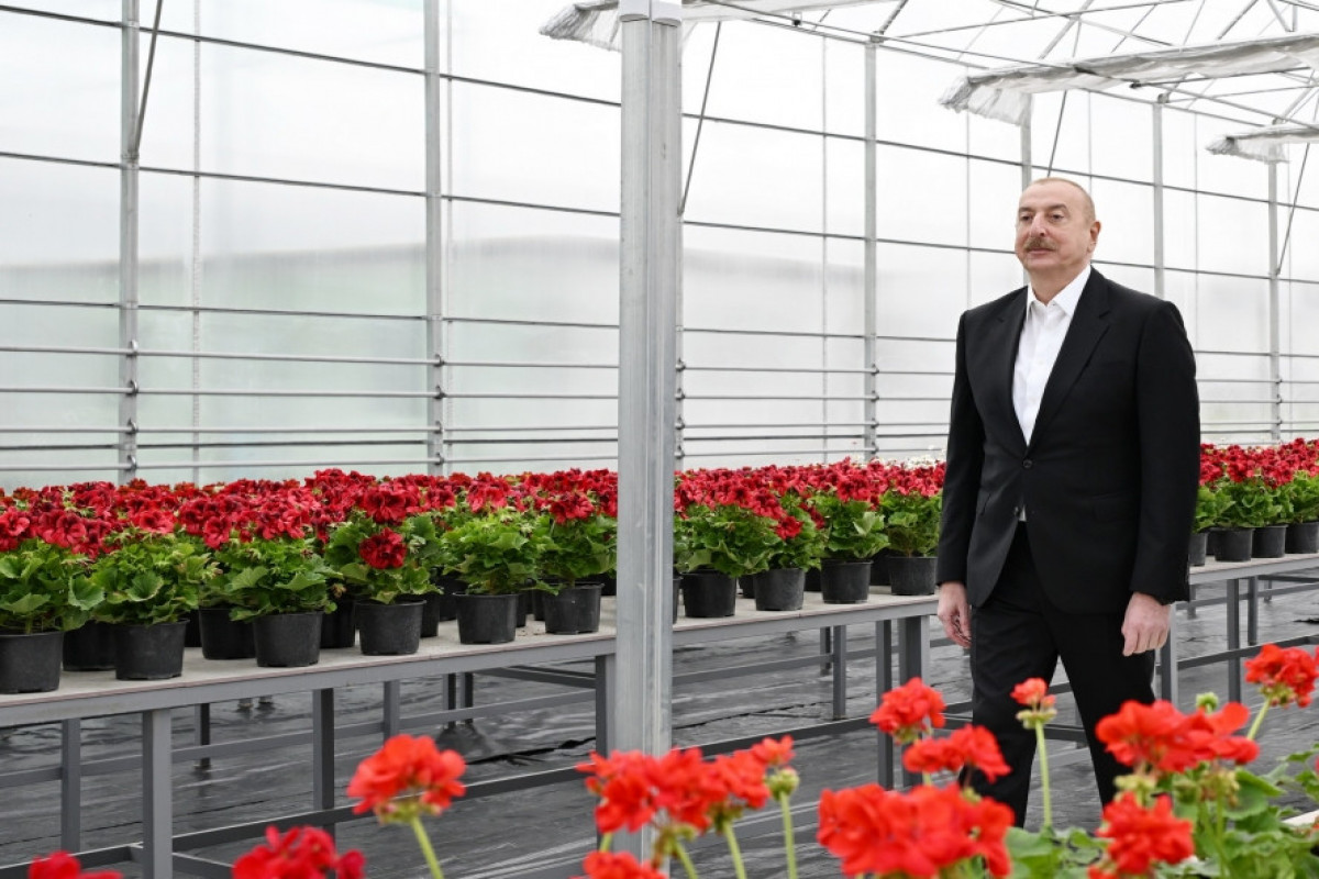 Prezident Gəncədə Ekoloji Park Kompleksinin tikintisi ilə tanış oldu - FOTO