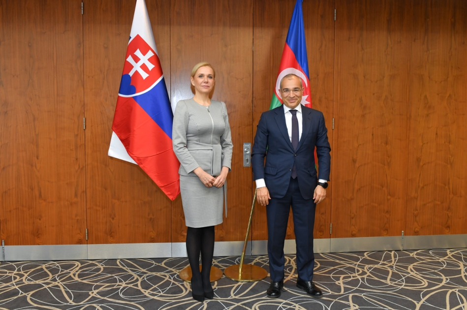 Azərbaycanla Slovakiya arasında əlaqələr müzakirə edildi