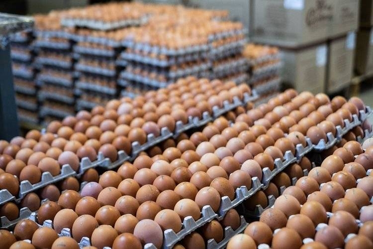 Rusiyanın yumurta böhranı: Biznesmenlər daha çox pul qazanıb...