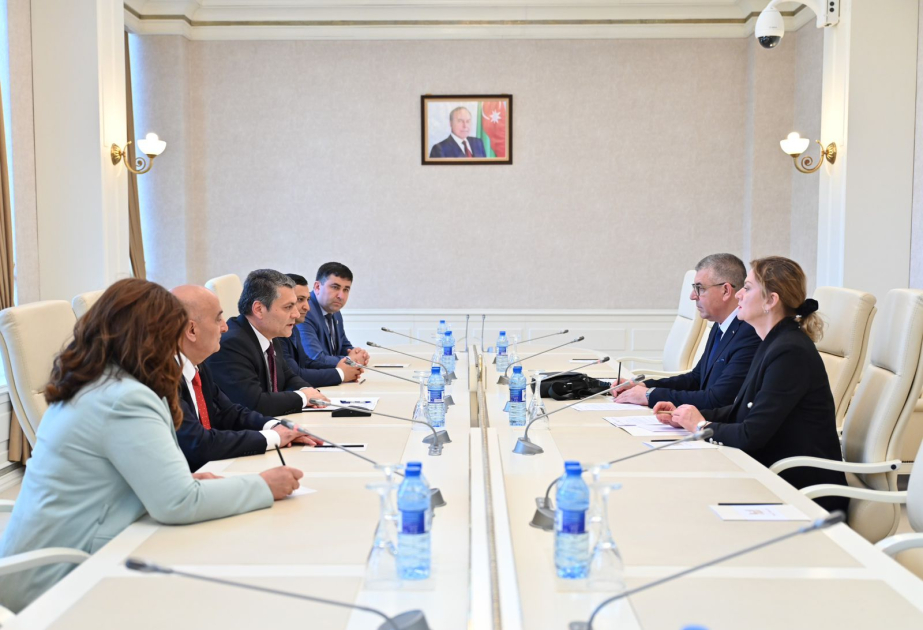 Parlamentdə bosniyalı deputatlarla görüş keçirilib